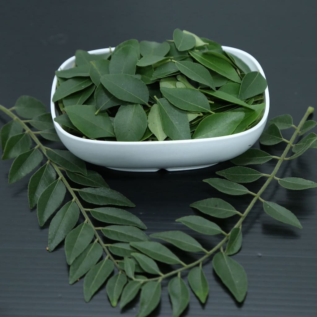 Curry Leaves